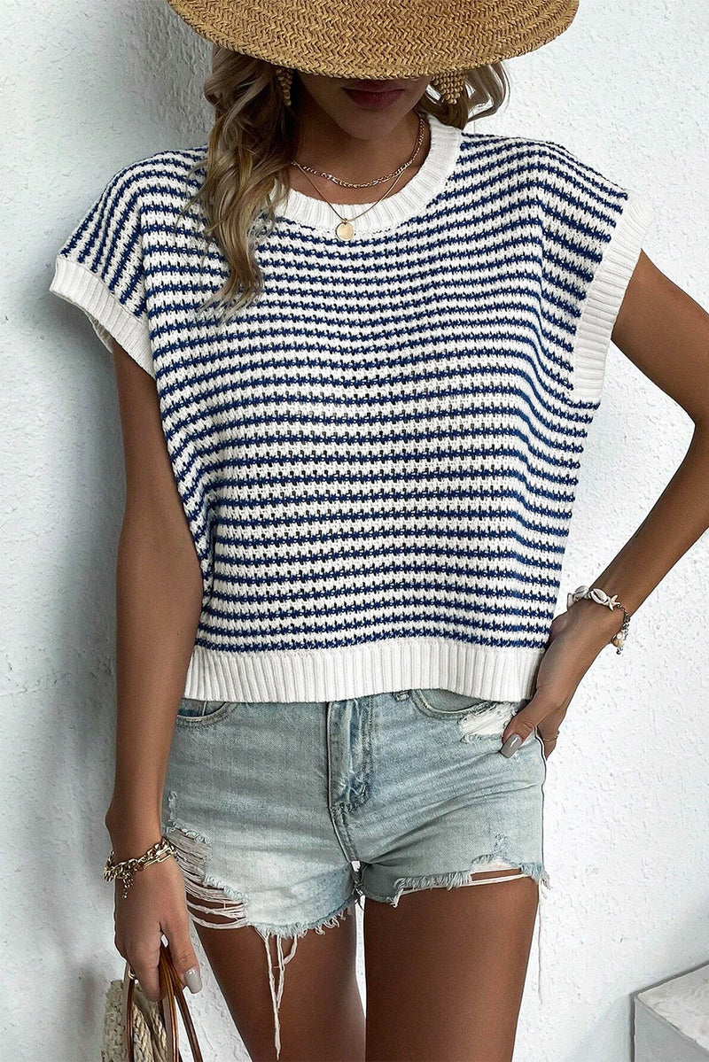 Blue Stripe Contrast Trim Knit Dolman Top