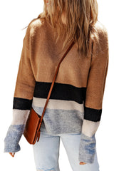 Brown Casual Striped Colorblock Ribbed Knit Sweater