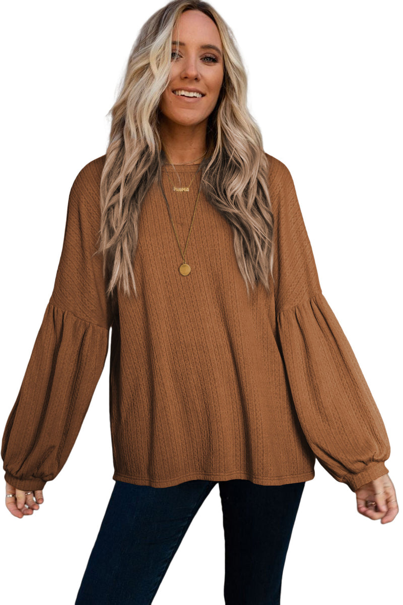 Brown Solid Color Textured Pullover Casual Long Sleeve Top