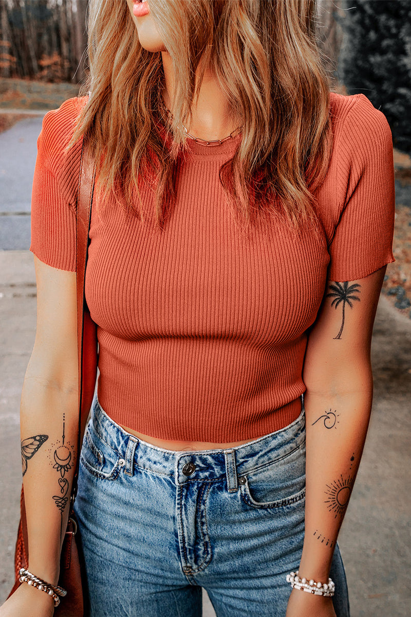 Tomato Red Ribbed Knit Crewneck Crop T Shirt