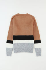 Brown Casual Striped Colorblock Ribbed Knit Sweater