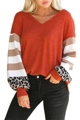 Striped and Leopard Print Color Block V Neck Long Sleeve Top