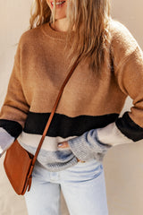 Brown Casual Striped Colorblock Ribbed Knit Sweater