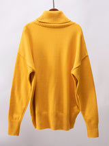 Turtleneck Long Sleeve Sweater