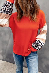 Striped and Leopard Print Color Block V Neck Long Sleeve Top