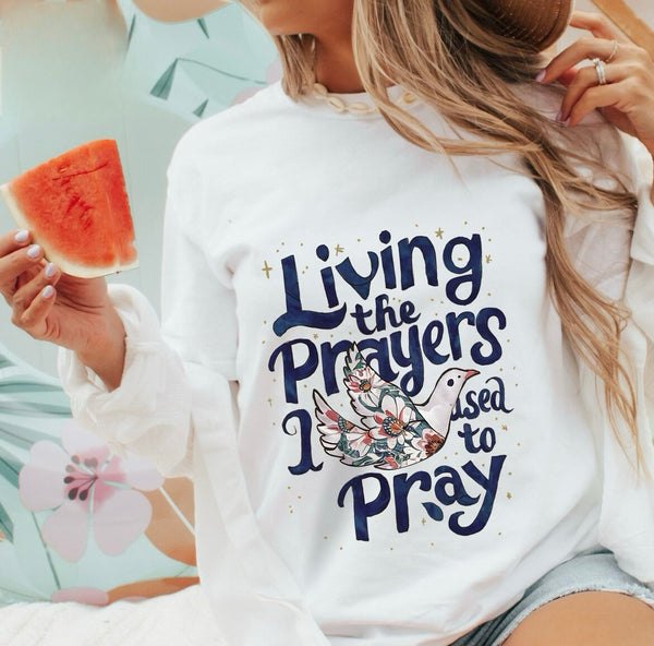 Living the prayers I used to pray (sweater/tee)