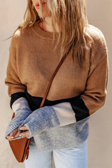 Brown Casual Striped Colorblock Ribbed Knit Sweater