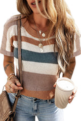 Camel Striped Colorblock Knit Short Sleeve T-shirt