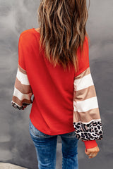 Striped and Leopard Print Color Block V Neck Long Sleeve Top