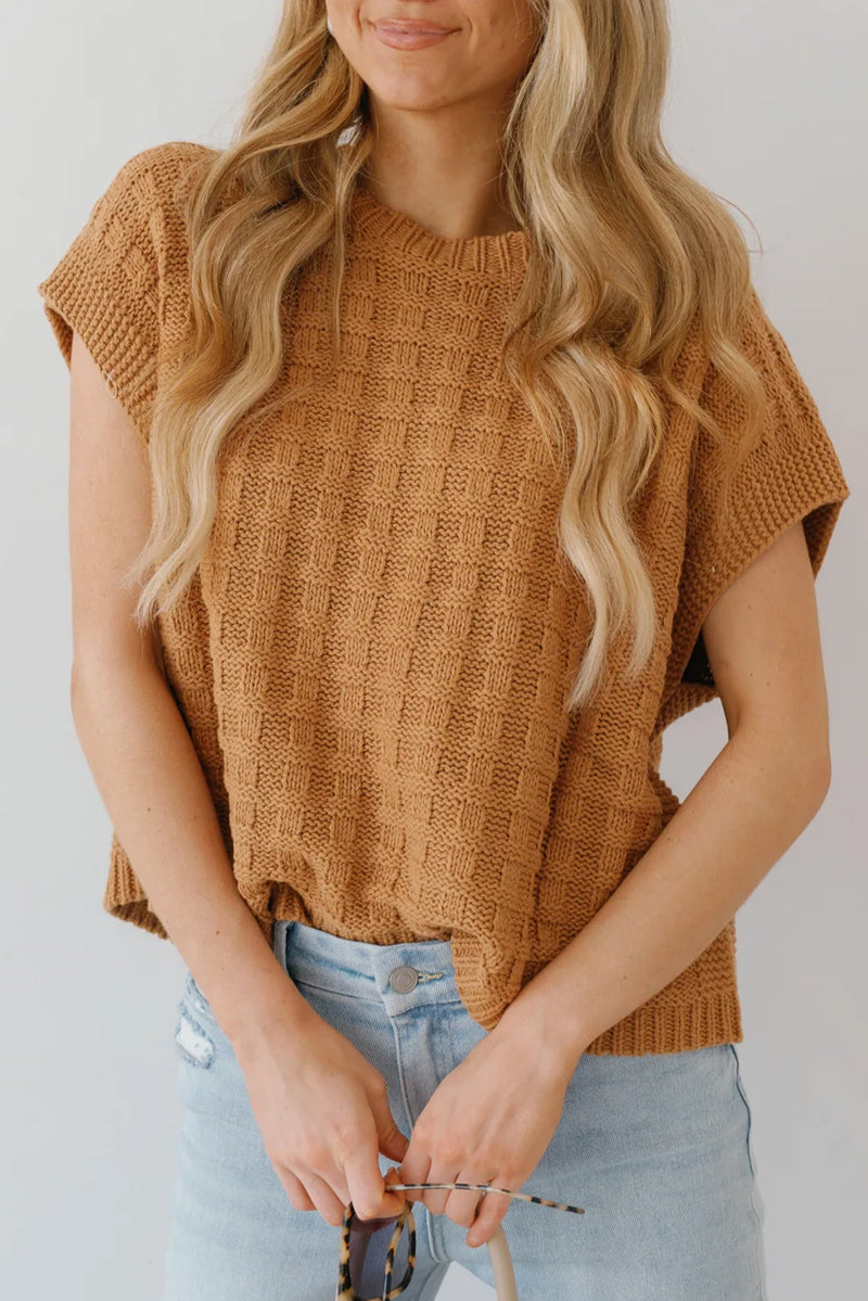 Camel Plain Checkered Texture Knit Top