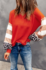 Striped and Leopard Print Color Block V Neck Long Sleeve Top