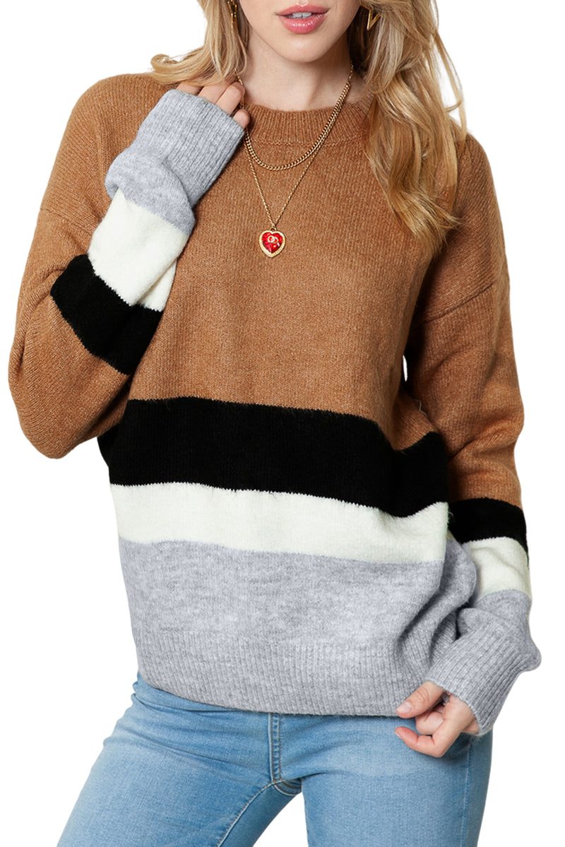 Brown Casual Striped Colorblock Ribbed Knit Sweater