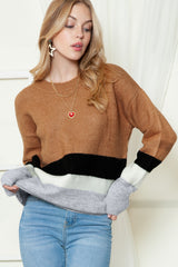 Brown Casual Striped Colorblock Ribbed Knit Sweater