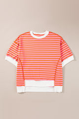 Multicolour Stripe Contrast Trim Drop Sleeve Loose Top