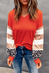 Striped and Leopard Print Color Block V Neck Long Sleeve Top