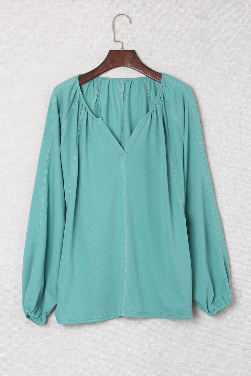 Rosy Casual Plicated Detail V Neck Blouse