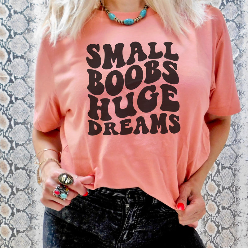 Small Boobs huge Dreams tee